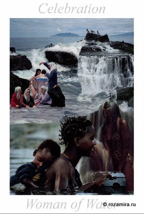 Nature Tarot by Jan Strube